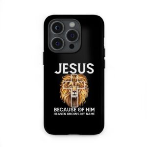 Jesus because of him heaven knows my name phone case, Jesus phone cases