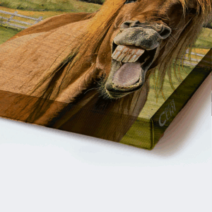 Jesus Landscape Poster: Horse Windmill Meadow Poster Home Decor Gift Home Decor Gift for Christian 1