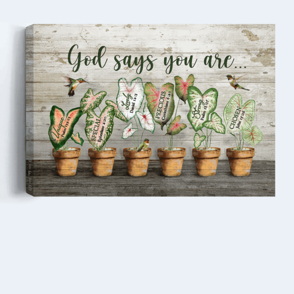 Christian Home Decor Gift: Jesus Landscape Poster with Hummingbird Painting and Caladium Pots – God Says You Are  Poster Home Decor Gift