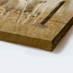 Christian Home Decor Gift: Jesus & Lambs of God Landscape Poster - Be Still and Know God - Farm Theme 1