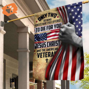 Jesus Christ And American Veterans Flag