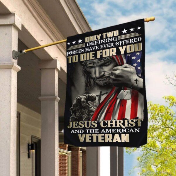 Jesus Christ And The American Veteran Flag Only Two Defining Forces To Die For You Flag