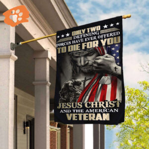 Jesus Christ And The American Veteran Flag Only Two Defining Forces To Die For You Flag