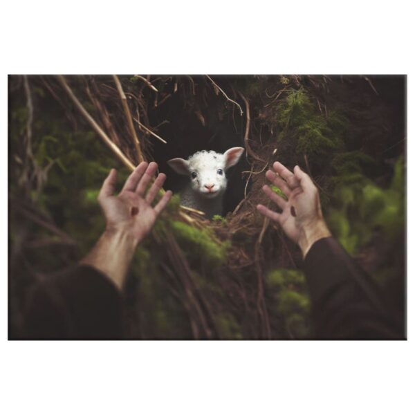Jesus’ Hand Reaching Out to Rescue a Lamb Wall Art Canvas